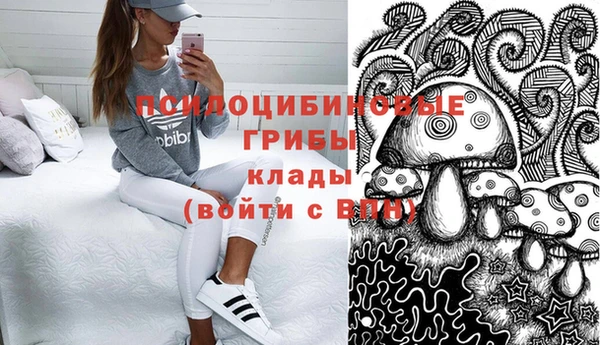 шишки Нефтекумск