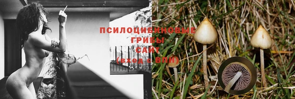 дживик Алексеевка